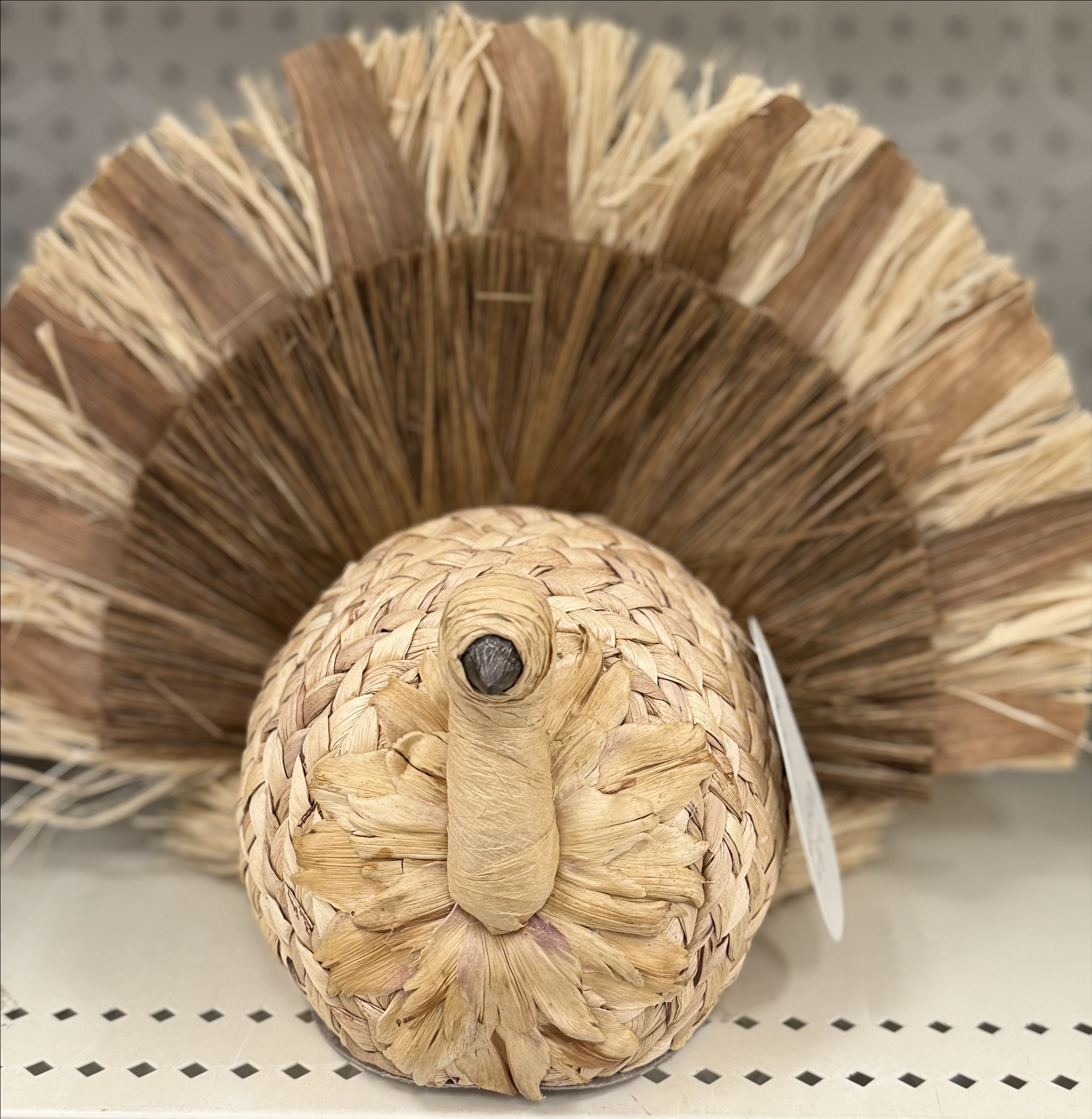 Love this turkey for Thanksgivingthe

#LTKHome #LTKSeasonal #LTKFamily