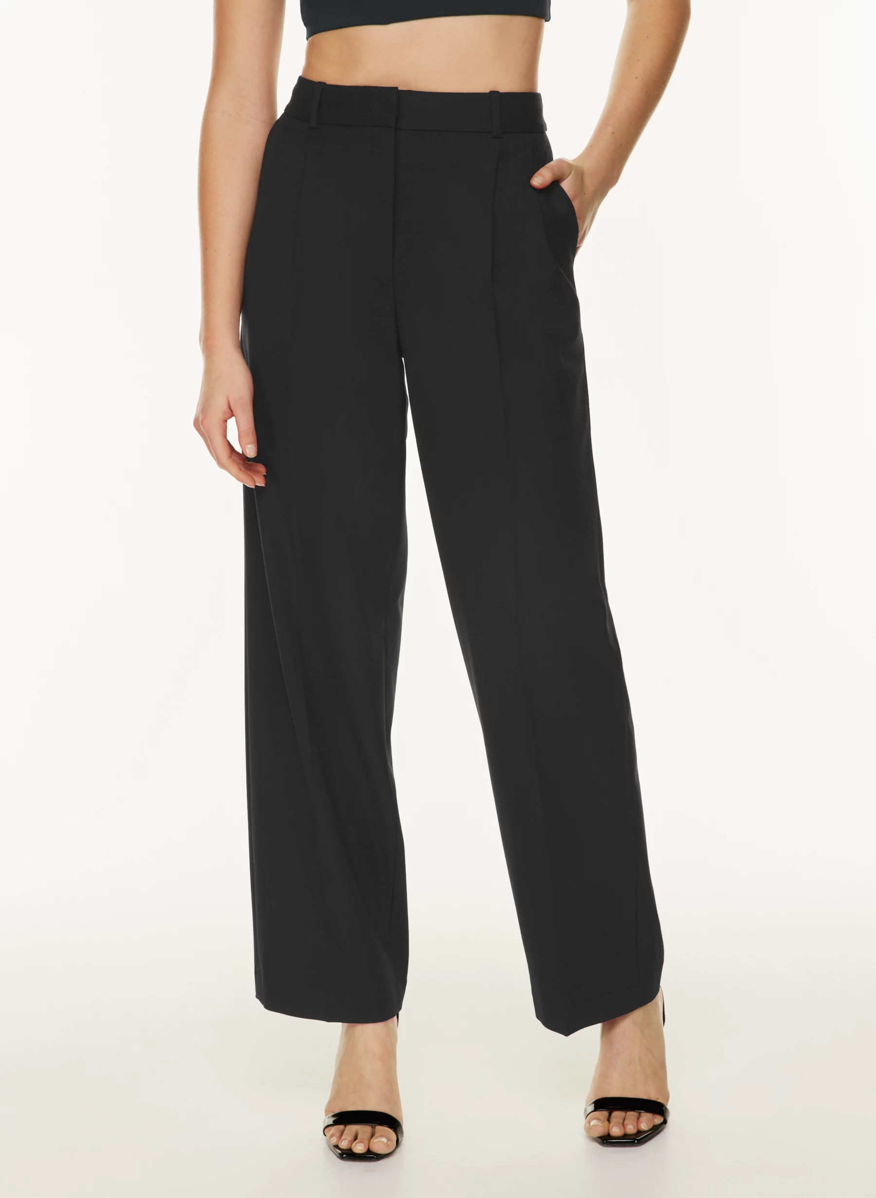 PLEATED PANT | Aritzia