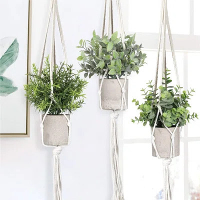 Artificial Plants 3 Pack Mini Fake Plants Fake Hanging Plants Artificial Decor With 3 Macrame Plant Hangers Decorative Plants | Wayfair North America