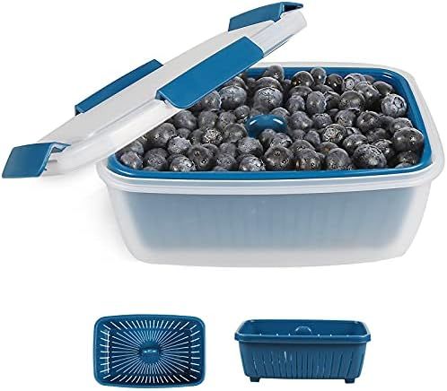 shopwithgreen Berry Keeper Box Containers, Berry Boxes Keep Fresh Produce Saver Food Storage Cont... | Amazon (US)