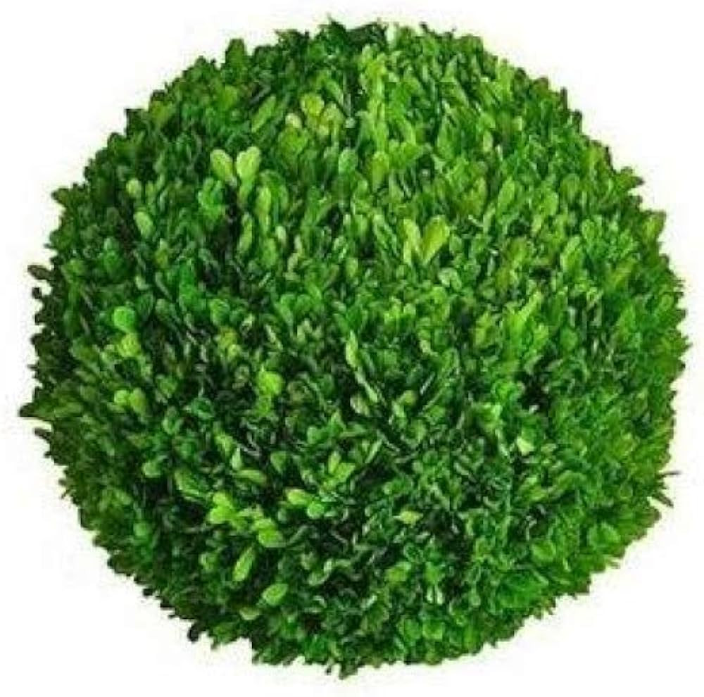 Mills Floral Company Boxwood Ball 8" | Amazon (US)