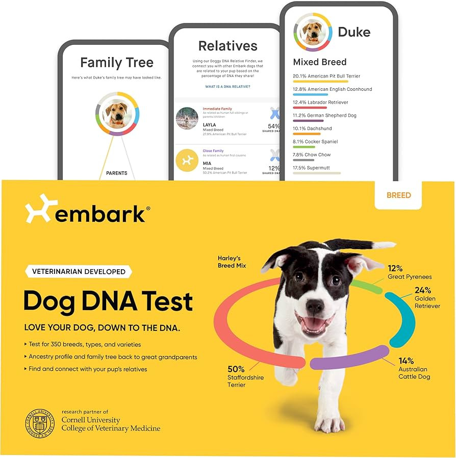 Embark Breed Identification Kit - Most Accurate Dog DNA Testing Kit - 99% Breed Ancestry Accuracy... | Amazon (US)