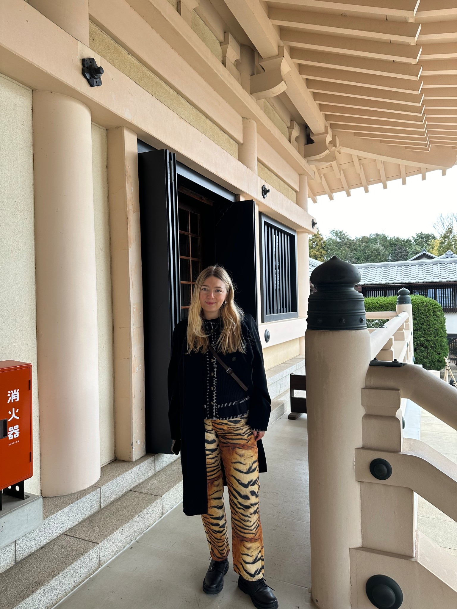 Tiger trousers Japan outfit 1 #outfitinspo #summeroutfit #summerootd