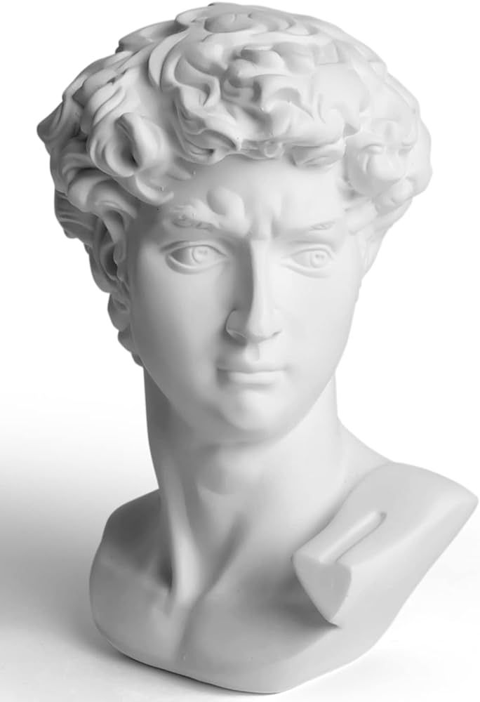 Garwor David Statue Head Sculptures 6" Michelangelo David Bust Figurine Classic Greek Roman Bust ... | Amazon (US)