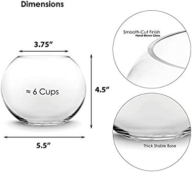 CYS EXCEL Glass Bubble Bowl (H-4.5" W-5.5", Approx. 1/4 Gal.) | Multiple Size Choices Fish Bowl V... | Amazon (US)