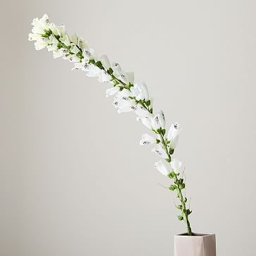 Faux Foxglove Stem | West Elm (US)
