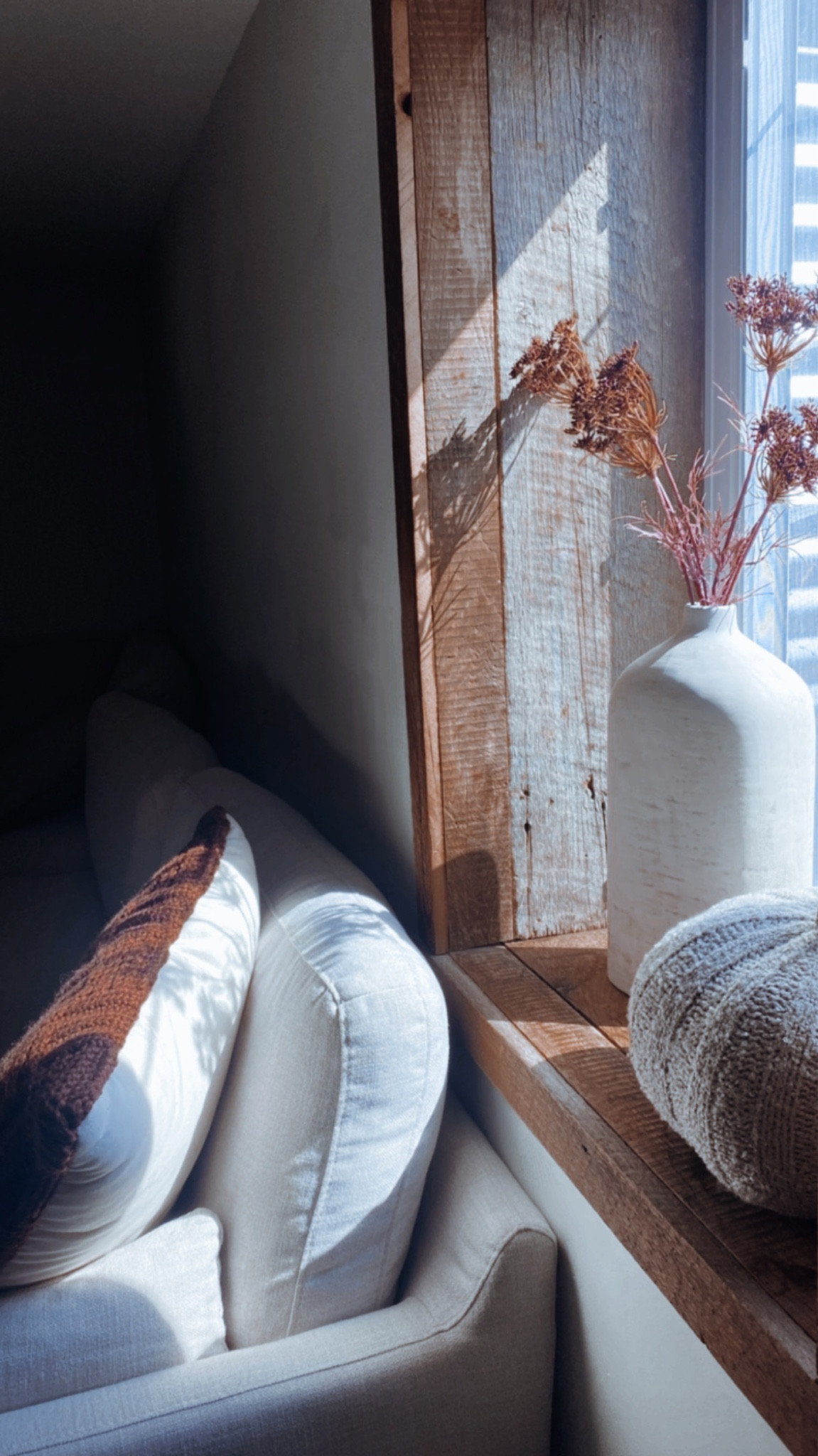 Fall vibes 🍁 

#LTKunder50 #LTKSeasonal #LTKhome