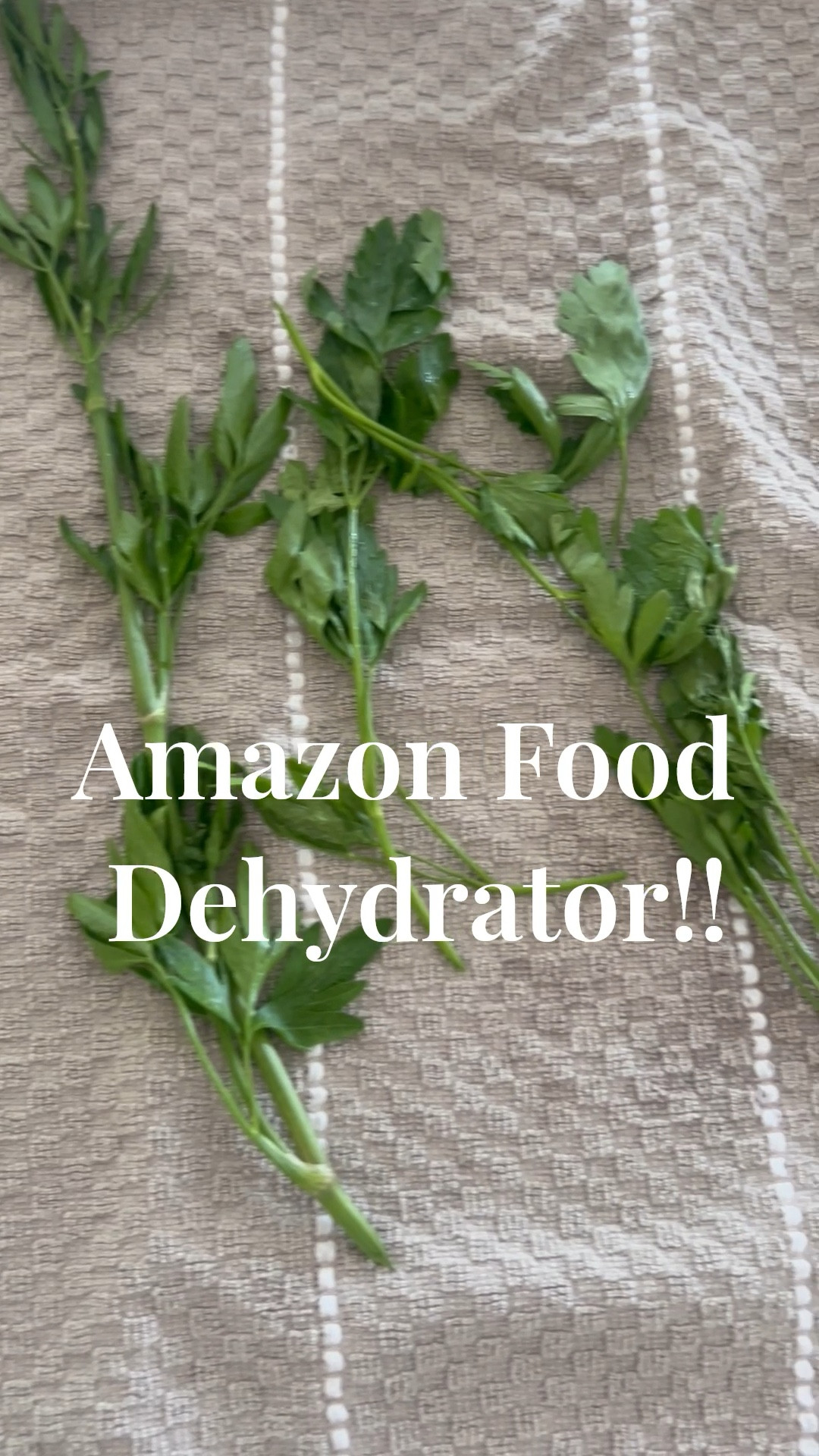 Amazon food dehydrator. I’m linking some other ones because the one my mother-in-law got me has plastic and I’m not the biggest fan but we do have a metal one as well so I’m linking similar options! 

Super easy to use and we can make tons of things. Today I’m dehydrating fresh parsley for herbs

#LTKHome #LTKFamily #LTKSummerEdit