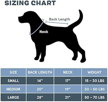 Barkbox Premium Absorbent Hooded Dog Bathrobe Towel - Quick Drying Pet Towel for Bath & Beach Tri... | Amazon (US)