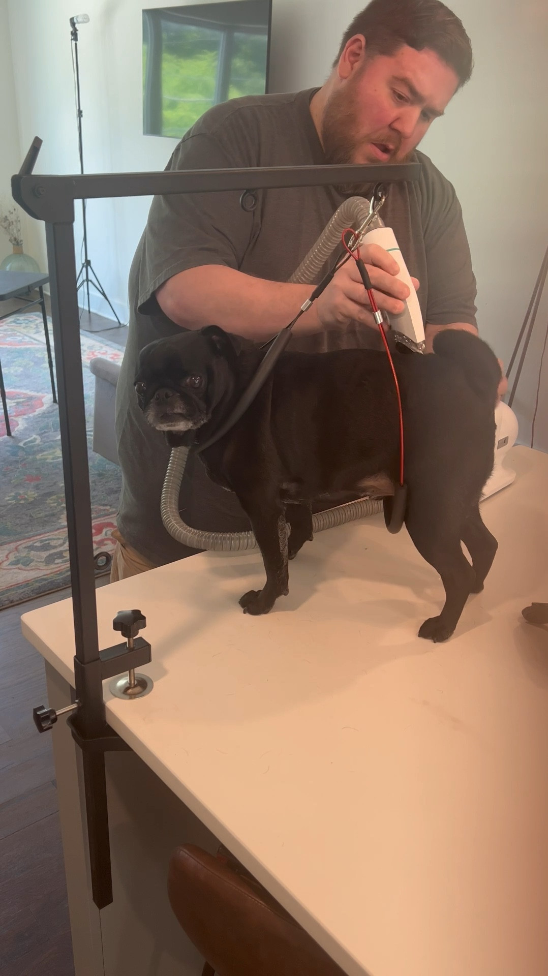 Our favorite tool for at home pet care! Affordable and keeps the house clean, which is essential for those of us with allergies! 

#LTKHome #LTKVideo #LTKSaleAlert