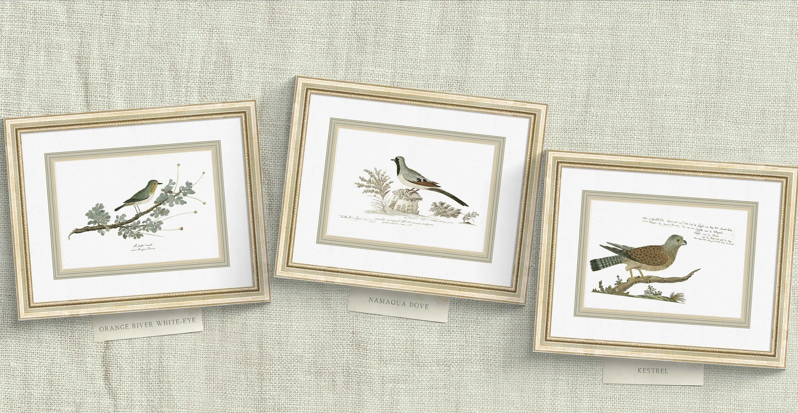 Set of 10 Antique Custom Framed Botanical and Bird Wall Art Prints, Archival Art Print on Importe... | Etsy (US)
