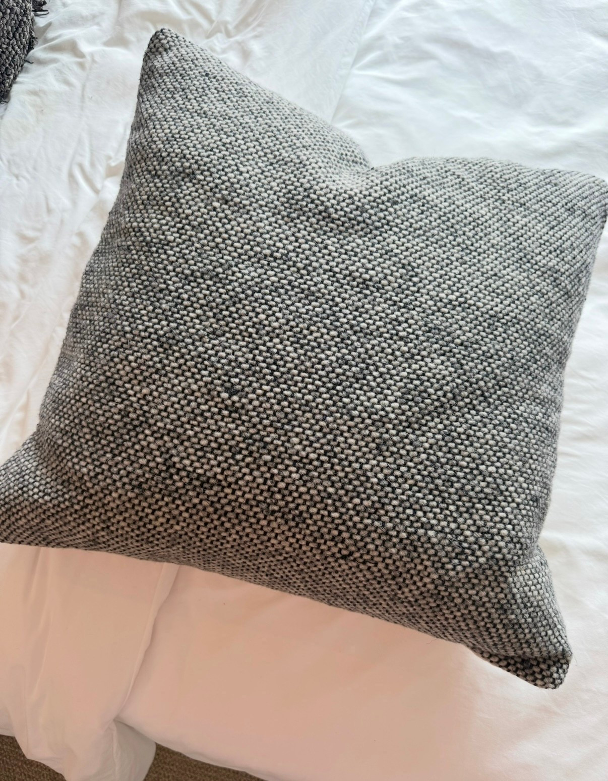 My fave designer collab pillow finally has a deal! See more I found on Black Friday pricing rugs and pillows now 🖤✨

#LTKCyberWeek #LTKSaleAlert #LTKHome