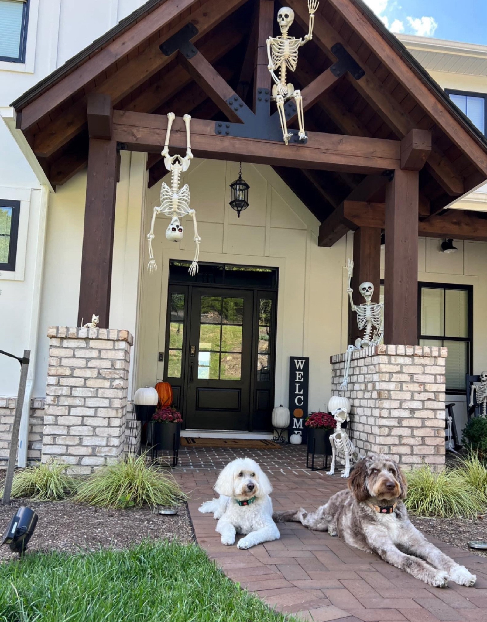 Are you guys ready for Halloween?! My house is always covered in skeletons! #ad 

#LTKSeasonal #LTKHome