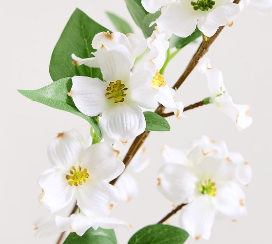 Faux Oversized Blooming Dogwood Branch | Pottery Barn (US)