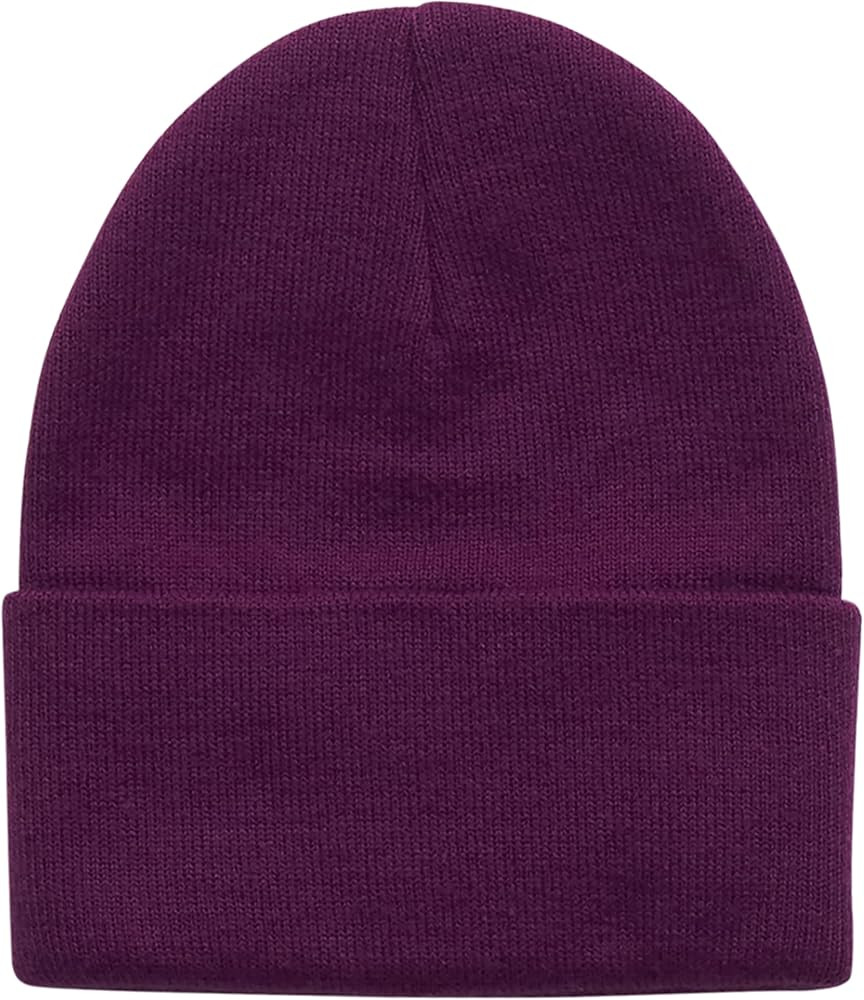 Carhartt Kid's CB9012 Knit Beanie - Unisex Toddler One Size Fits All Plum Caspia | Amazon (US)