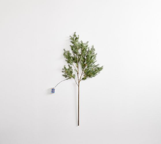 Faux Lit Green Cedar Branch | Pottery Barn (US)