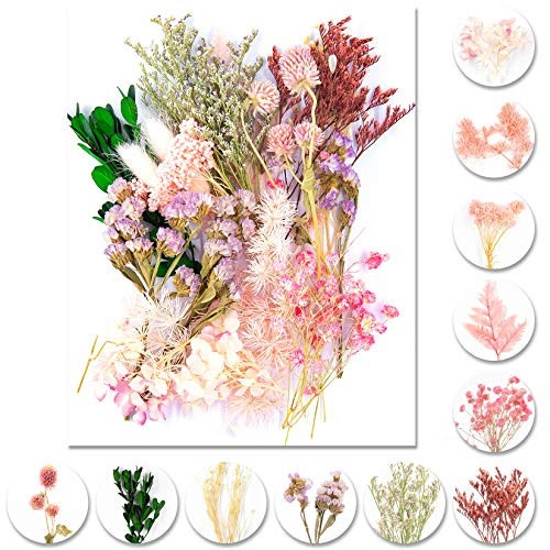 Vignee Real Dried Pressed Leaf Flowers-Multiple Colorful Pressed Flowers Daisies for Craft Resin Jewelry Making Art Craft DIY and Soap Candle Scrapbooking DIY Resin（Light Pink） | Amazon (US)