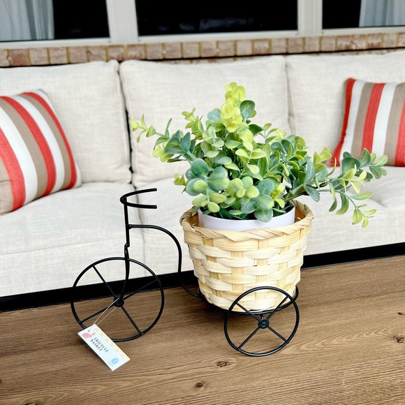Target Tricycle Woven Basket Planter | Poshmark