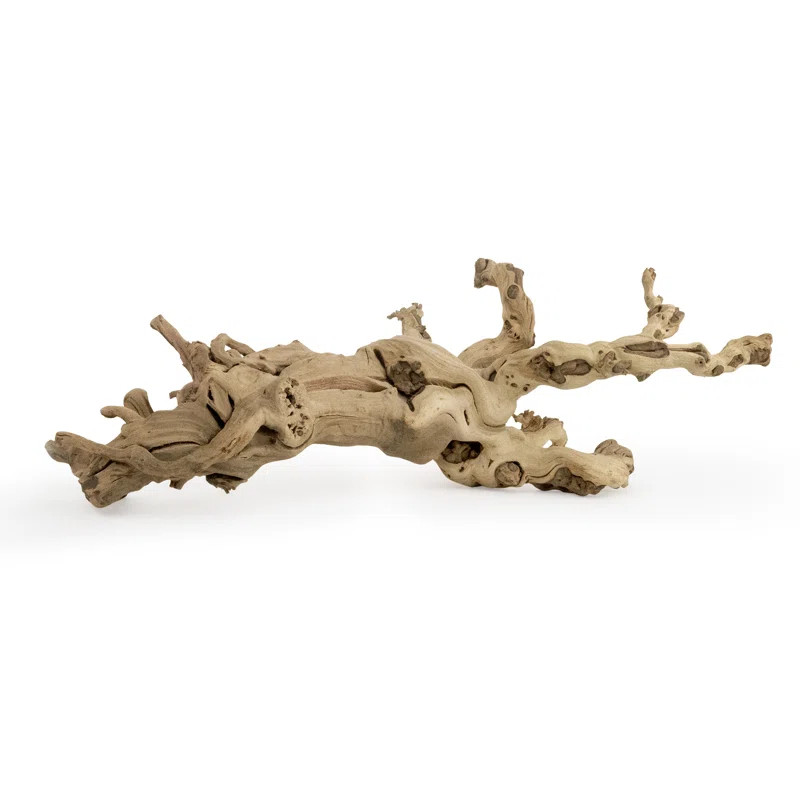 Beachcrest Home Aquilar Landscape & Nature Figurines & Sculptures & Reviews | Wayfair | Wayfair North America