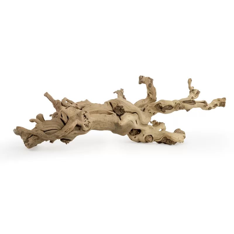 Beachcrest Home Aquilar Landscape & Nature Figurines & Sculptures & Reviews | Wayfair | Wayfair North America