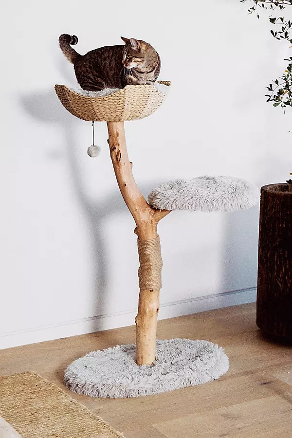 Uni Cat Tree | Anthropologie (US)