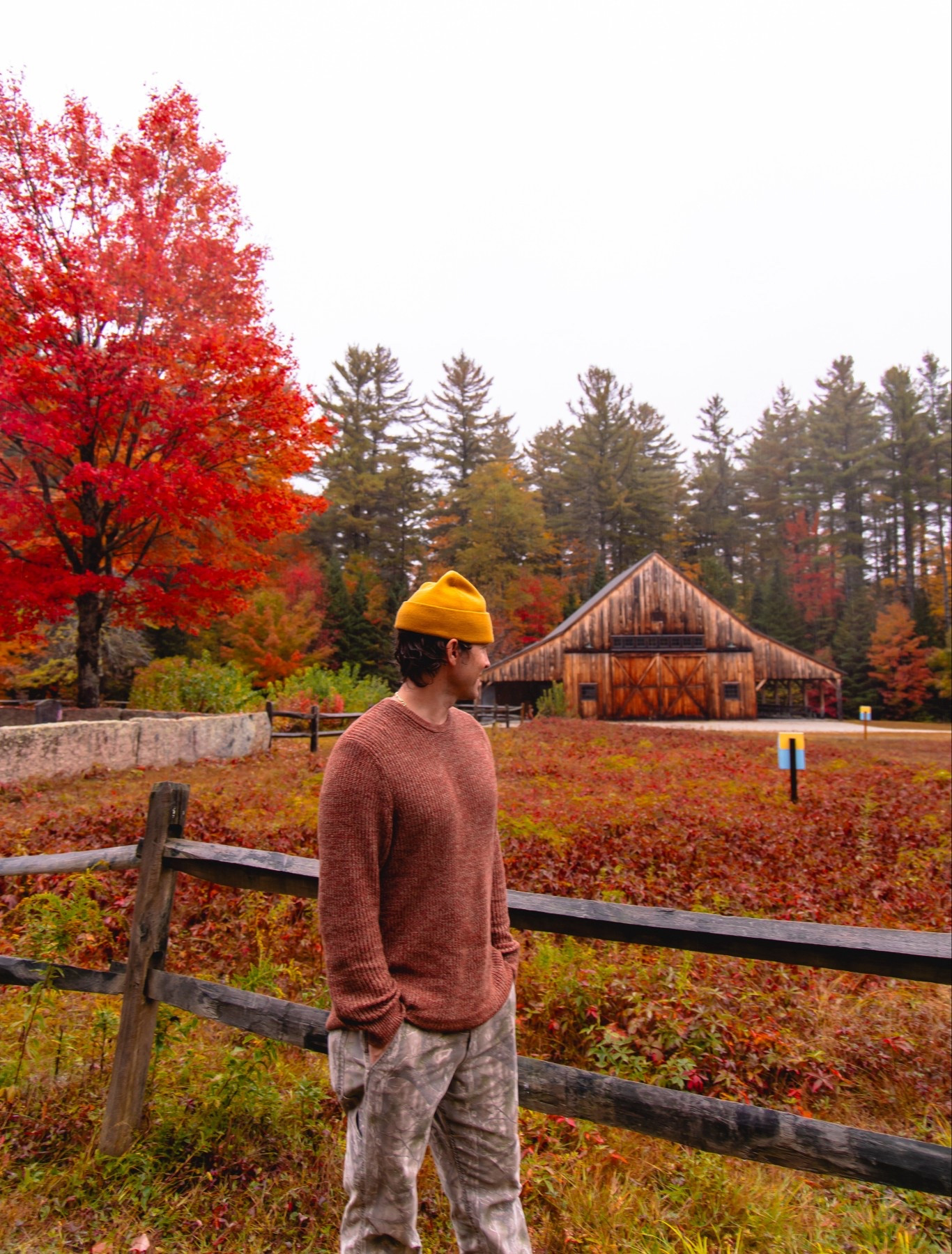 a easy go-to mens look for fall 🍁 ordered XL in sweater for an oversized fit

fall sweater | mens fall outfits | mens styling | fall ootd | mens fits 

#LTKFindsUnder50 #LTKFindsUnder100 #LTKMens