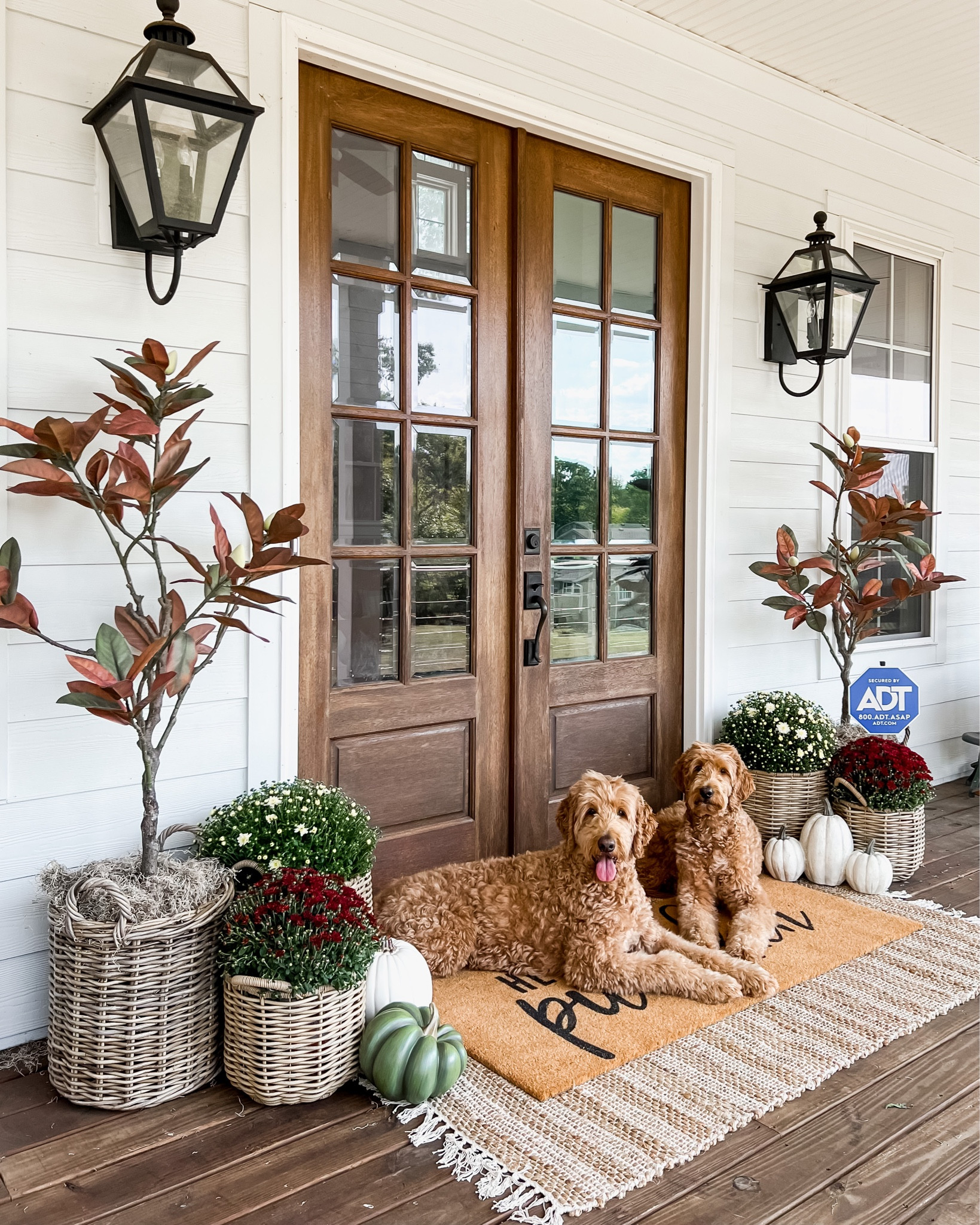 Fall front porch and door decor fall magnolia trees mums baskets planters faux trees outdoor lantern sconce lighting double layered doormat autumn harvest seasonal

#LTKHalloween #LTKSeasonal #LTKhome