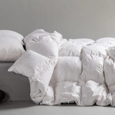 Standard Cotton Comforter | Wayfair North America