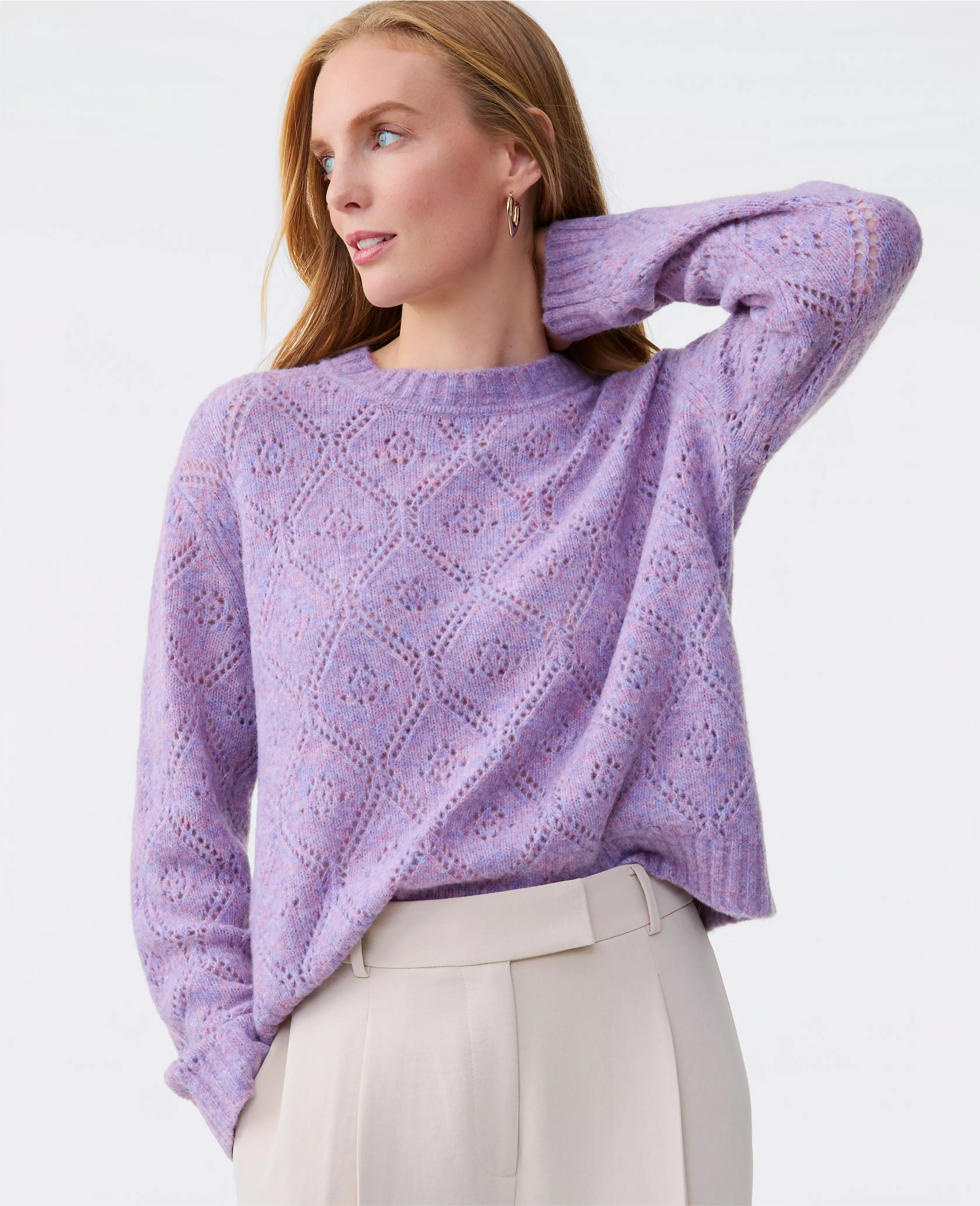 Pointelle Crew Neck Sweater | Ann Taylor