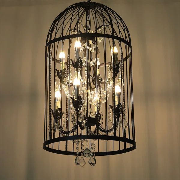 17.7in Black Birdcage Chandelier with 23.62in Adjustable Chain E12*8 (without bulbs) | Wayfair Professional