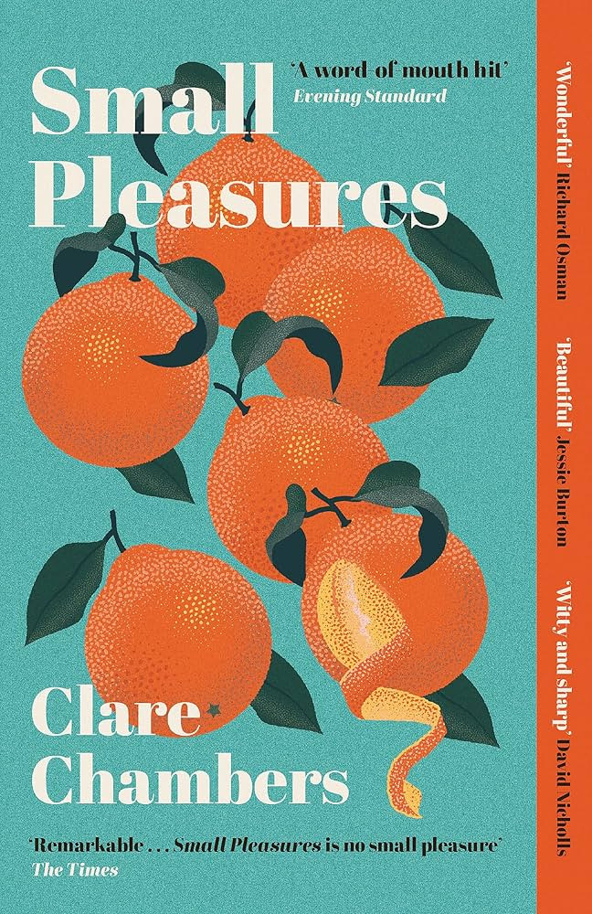 Small Pleasures: Longlisted for the Women's Prize for Fiction | Amazon (UK)