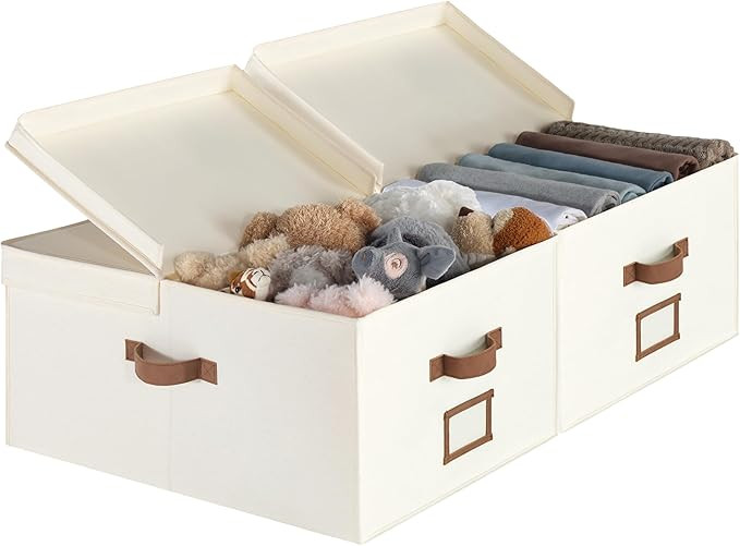 StorageWorks Fabric Storage Bin, 55L Large Storage Boxes with Double-Open Lid and Divider Board, ... | Amazon (CA)