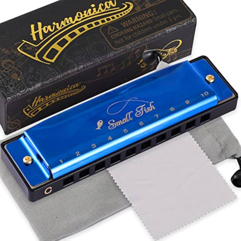 Harmonica for Kids Toddlers and Adults, Beginners Blues Musical Instrument Toy with 10 Holes and ... | Amazon (US)
