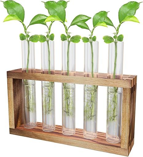 Plant Propagation Stations by Yaznow - Hanging Wall Mounted and Table Stand Planter - Extra Thick... | Amazon (US)