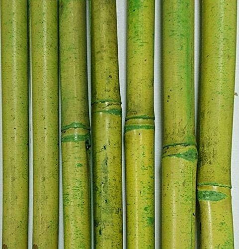 Green Floral Crafts - 6 Foot Decorative Bamboo Poles Perfect for Floor Vases, Plant Stakes, and H... | Amazon (US)