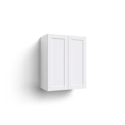 NewAge Products  Home Cabinet 24-in W x 30.6-in H x 13.8-in D White Laminate Door Wall Fully Ass... | Lowe's