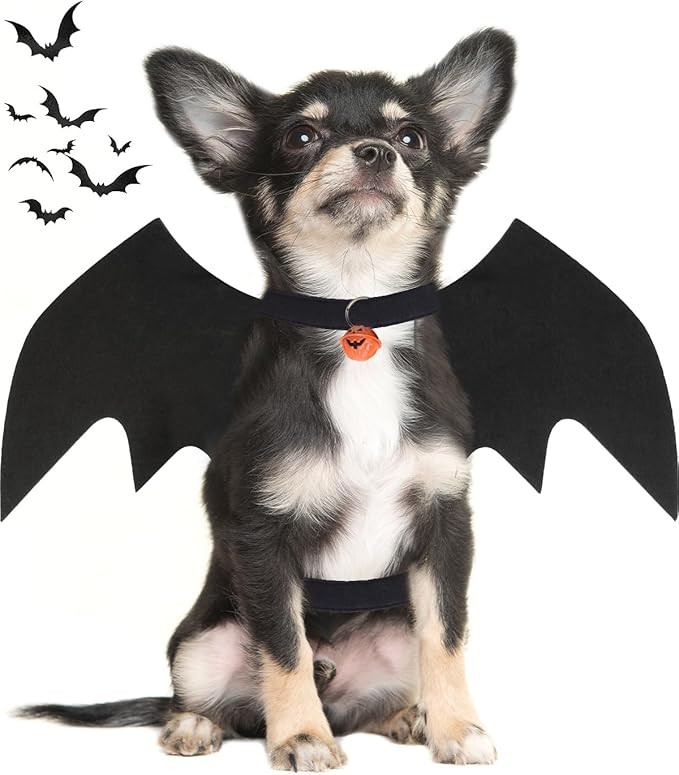 Dog Halloween Costumes for Small Dogs, Dog Bat Wings with Pumpkin Bell Pet Halloween Cosplay Part... | Amazon (US)