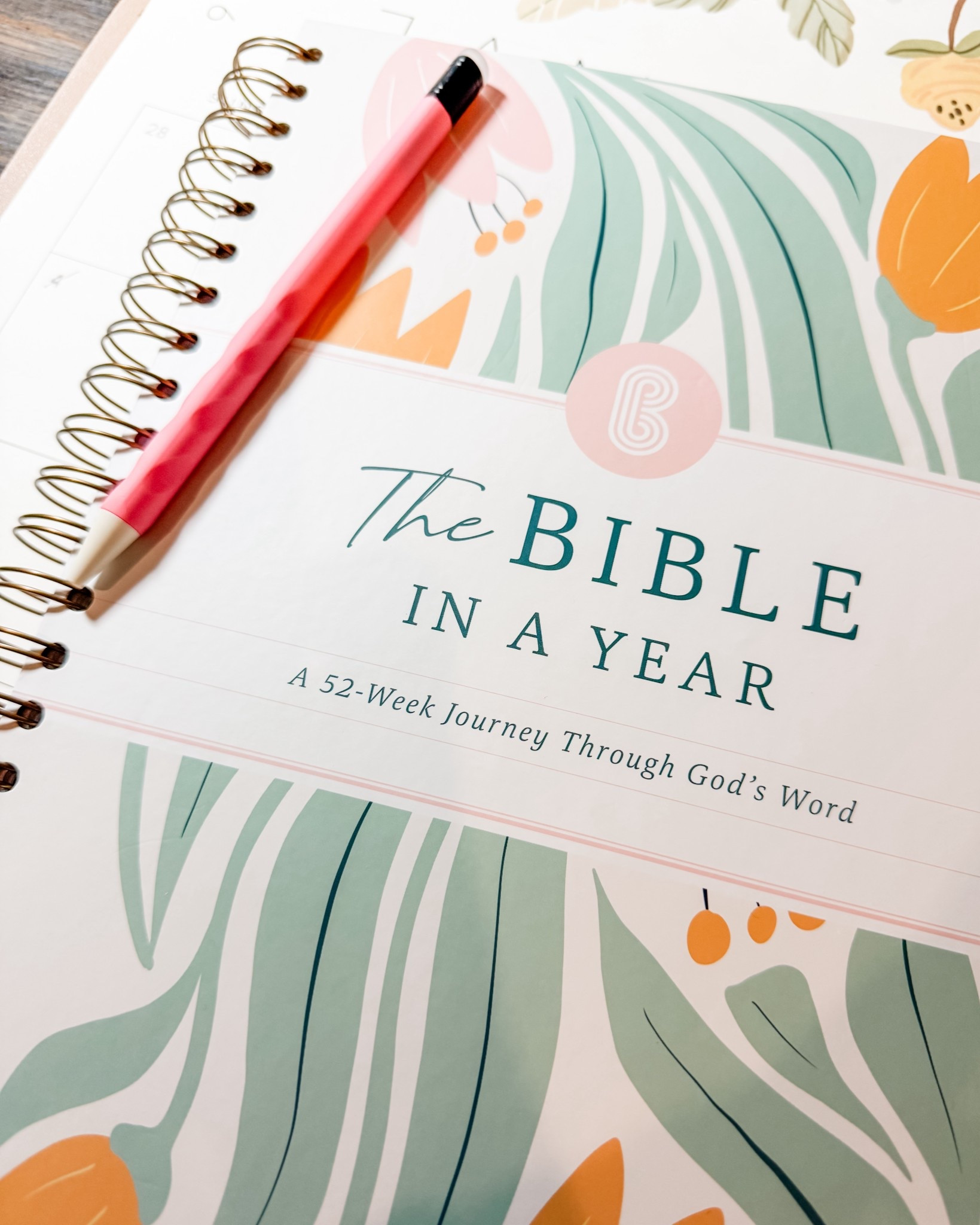 I’m really enjoying The Bible In A Year Bible Study. As a busy mom, it’s a great way to study scripture in a manageable amount of time while still making it meaningful and impactful. 

#LTKmorningroutine #LTKmomlife #LTKdayinmylife