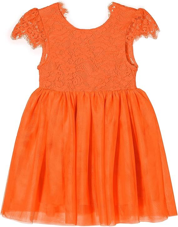 Niyage Toddler Girls Tulle Princess Party Dress Baby Elegant V-Back Lace Flower Girl Dresses | Amazon (US)