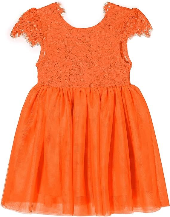 Niyage Toddler Girls Tulle Princess Party Dress Baby Elegant V-Back Lace Flower Girl Dresses | Amazon (US)