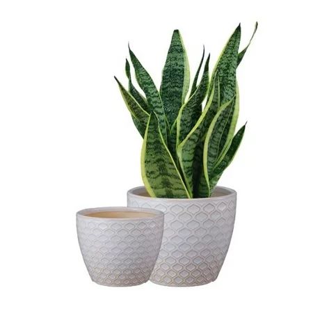 Tutuviw 5.5 / 6.5 inch Ceramic Planter with Drainage Hole White Flower Plant Pot for Indoor Outdoor  | Walmart (US)