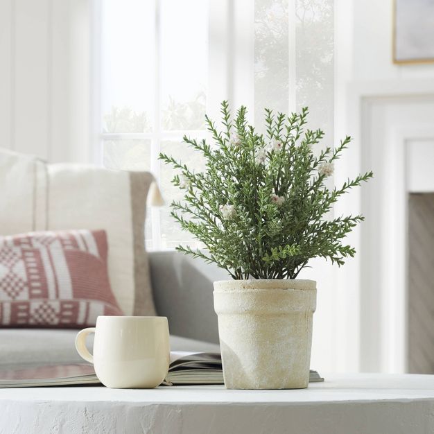 Flowering Thyme Potted - Threshold™ designed with Studio McGee | Target