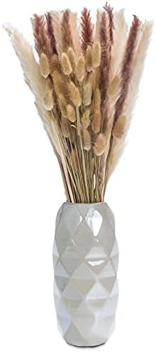 SHARPDECO 60 Pcs 21Inches Natural Dried Pampas Grass and Bunny Tail White, Brown and Natural Colo... | Amazon (US)