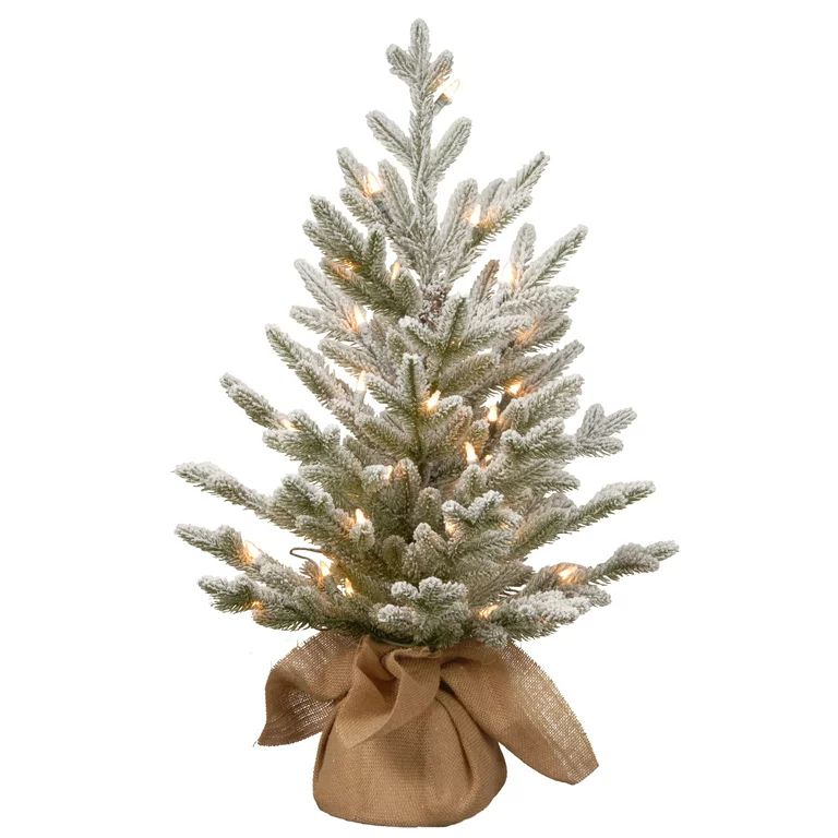 National Tree Company 2.5 ft. Snowy Cambridge Tree with Battery Operated Lights | Walmart (US)