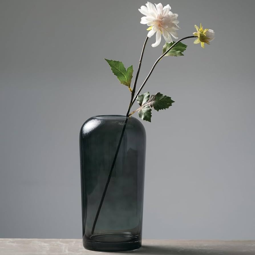 Sullivans Smoked Glass Vase, Flower Vase for Modern Home Decor, Minimalist Vase for Shelf and Tab... | Amazon (US)