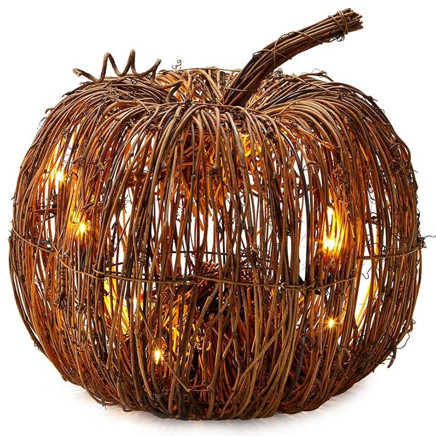 Lighted Grapevine Collection - Large | Amazon (US)