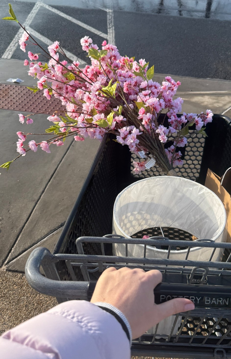 Shopping for Spring 🌸

#LTKmomlife #LTKHome #LTKSeasonal