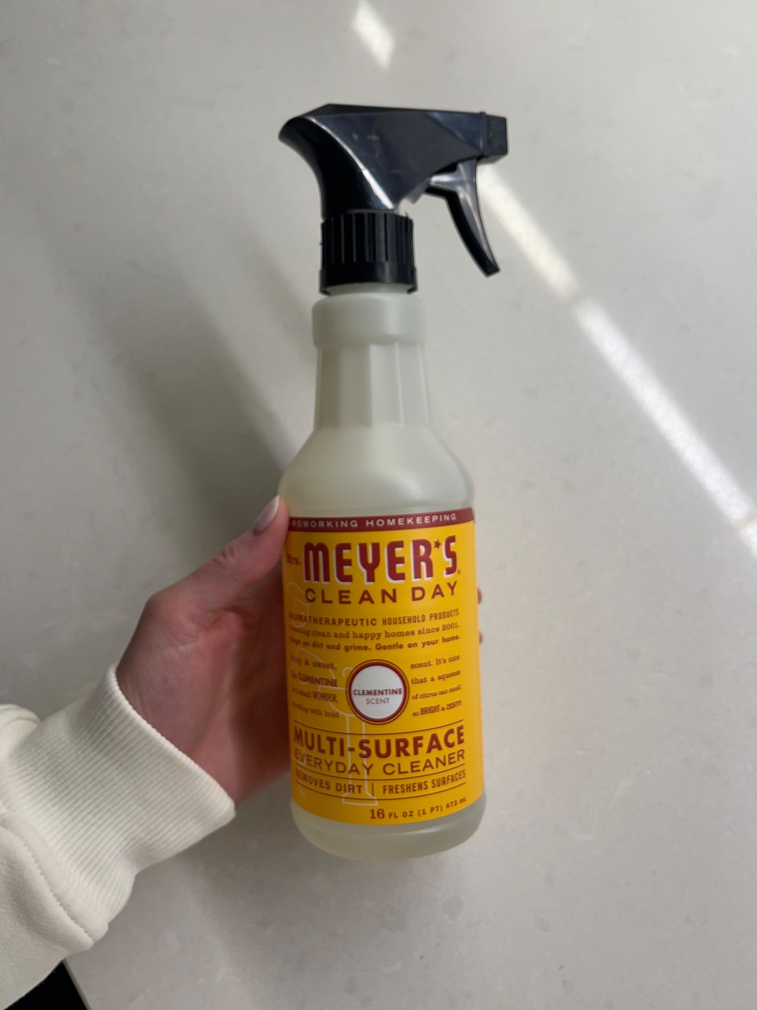 This might just be the best Mrs. Meyers scent (and I think I’ve tried them all!) S/O to my SIL for the find! 

#LTKHome #LTKSeasonal