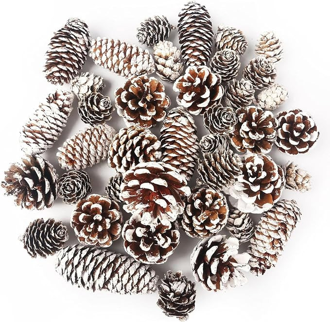40 PCS Snow Pinecones Decor, Natural Pine Cones Bowl Fillers | Amazon (US)