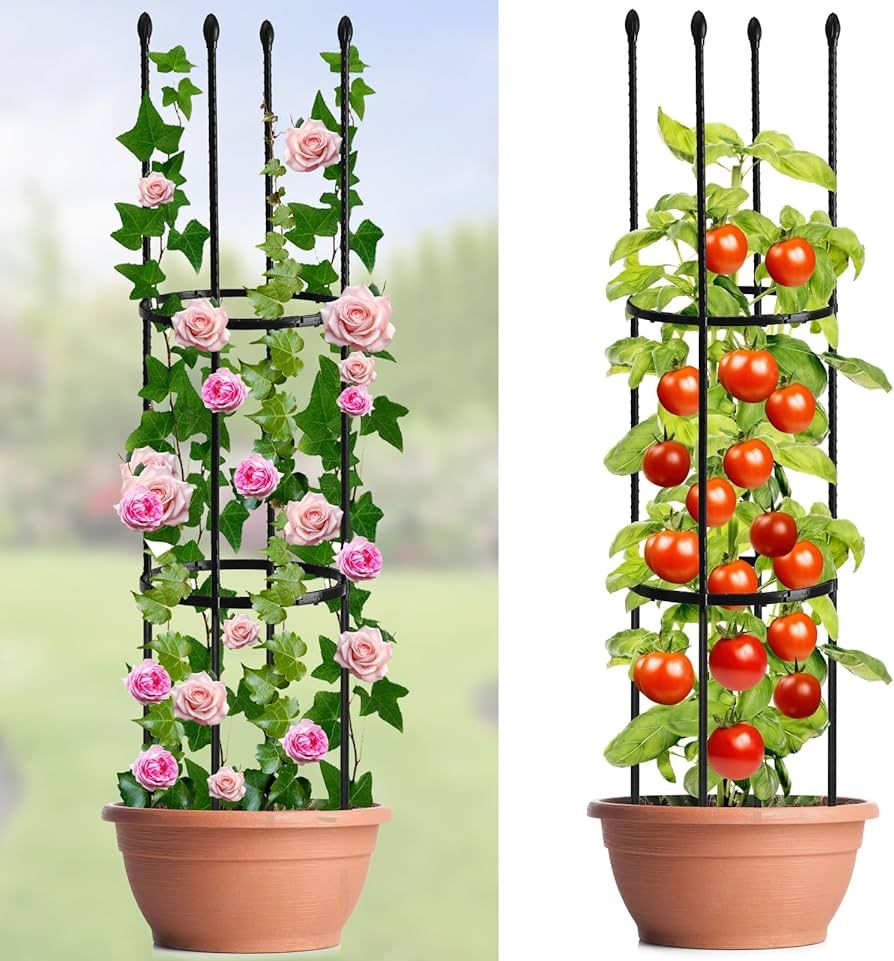 2 Pack Tomato Cage, Tomato Cages for Garden, Tomato Trellis Plant Stakes Support, Tomato Cage for... | Amazon (US)